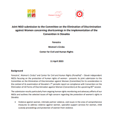 Joint submission to the UN Committee on the Elimination of Discrimination against Women
