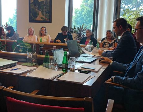 In Slovak parliament we discussed our comments on the law on compensation for illegally sterilised women