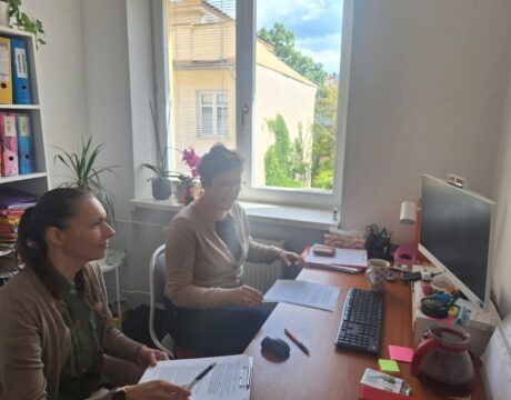 We discussed with ECRI discrimination against Roma and Romani women in the fields of education and health